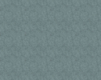 [1001111157_44] Flotex Colour у рулоні - s290004 Calgary menthol